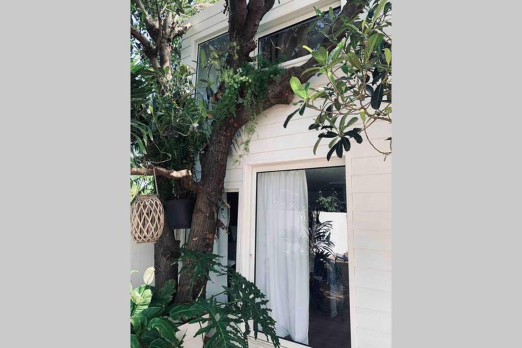 La Caze Amoremieve Pour Un Sejour Cozy A St Pierre Saint Pierre Luaran gambar